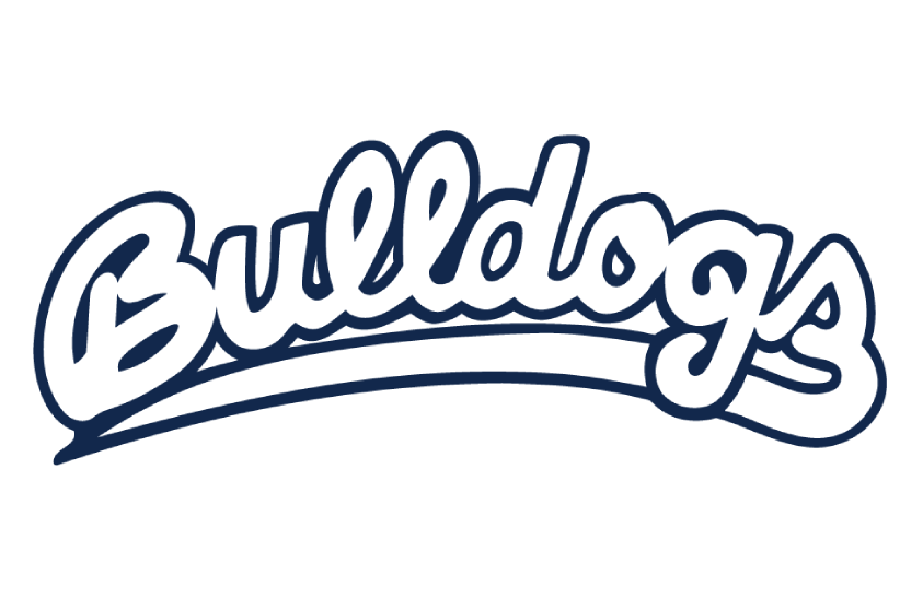 Fresno State Bulldogs 2021 Helmet Logo diy iron on heat transfer